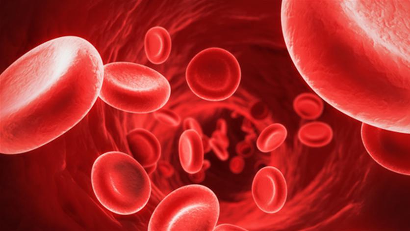 anemia apparato digerente